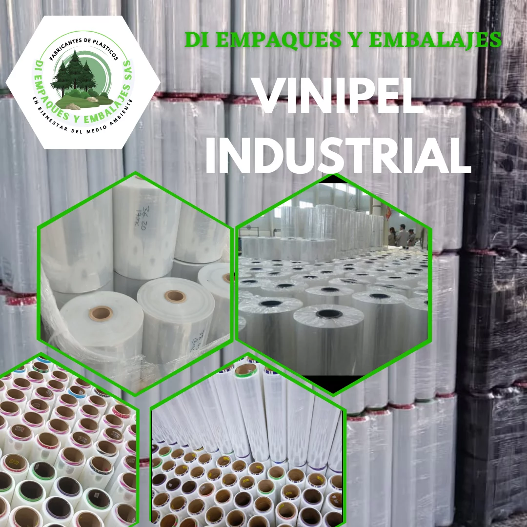 vinipel 6